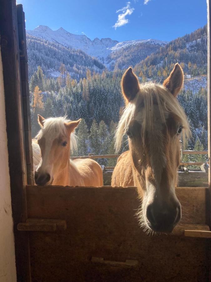 Ferienwohnungen-Lippenhof Sankt Jakob in Defereggen Esterno foto